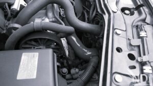 which radiator hose